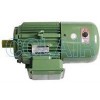 YEJ801-2,YEJ90S-2,YEJ100L-2,YEJ112M-2,YEJ132S1-2,YEJ160M1-2,電磁制動三相異步電動機(jī)