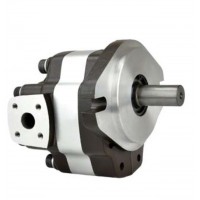 G5-5,G5-6,G5-8,G5-12-1E13S-20-R,G5-10,G5-12,G5-16,G5-30-1E13S-20R，G5-20,G5-25,G5-30,G5-25-A13S-20-R，單聯(lián)齒輪泵